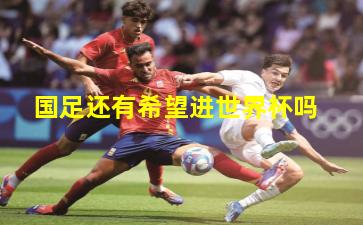 国足还有希望进世界杯吗