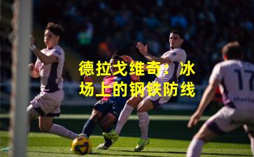 德拉戈维奇：冰场上的钢铁防线