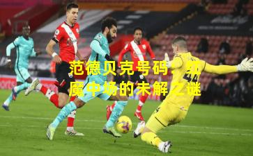 范德贝克号码：红魔中场的未解之谜