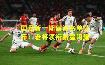 国足新一期集训名单公布：老将领衔新星闪耀